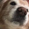 emmie1012